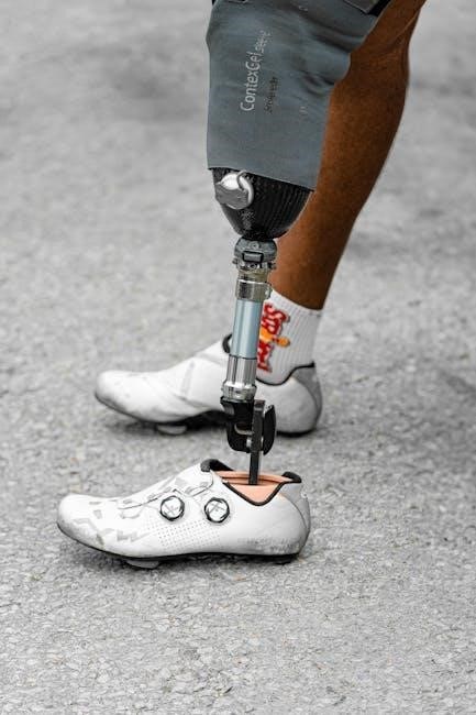 road cycling shoe size guide