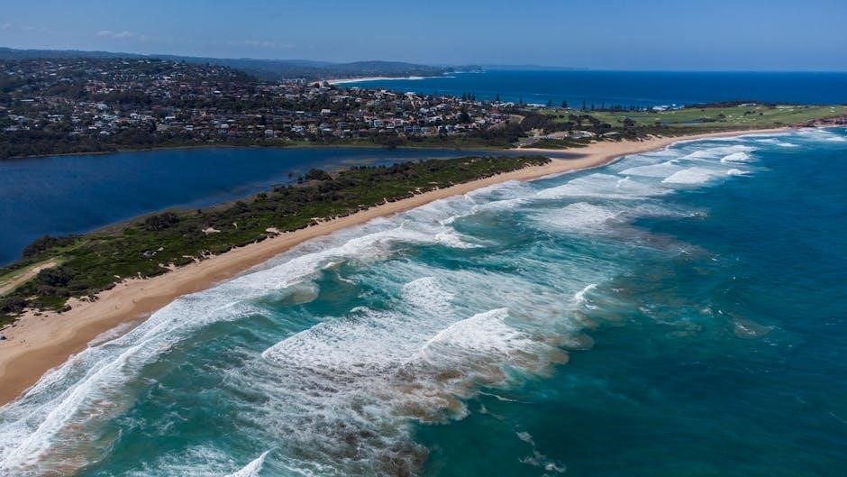 why the allies won pdf