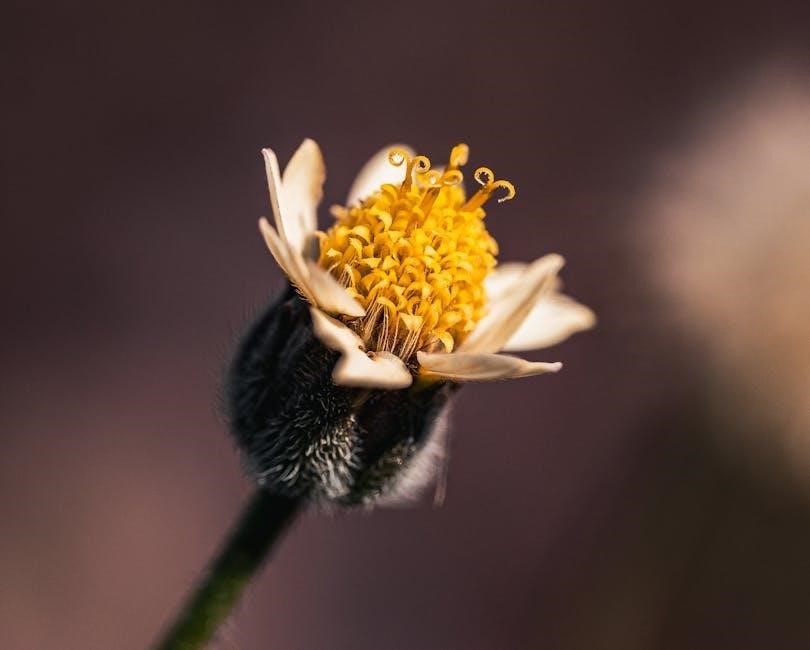 celebrate recovery workbook pdf free download